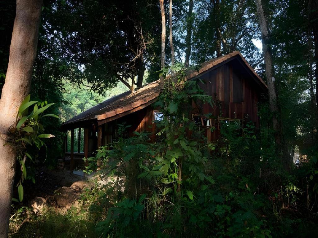 Forest Floor Lodge Cat Tien Extérieur photo