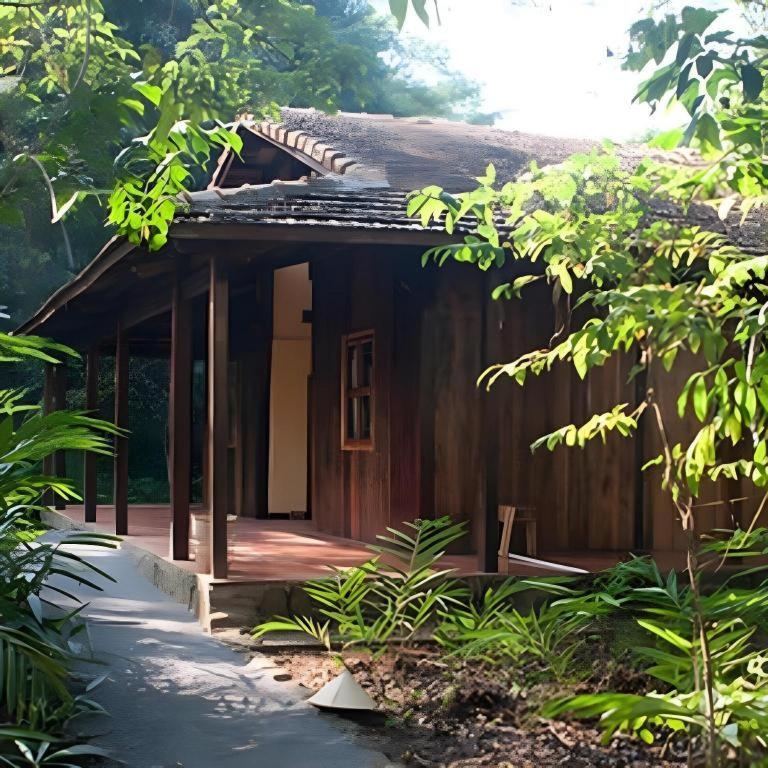 Forest Floor Lodge Cat Tien Extérieur photo