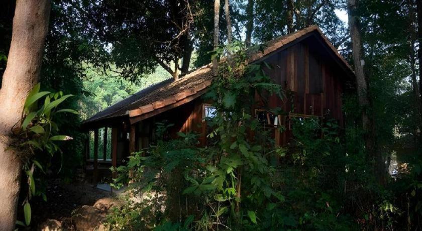 Forest Floor Lodge Cat Tien Extérieur photo